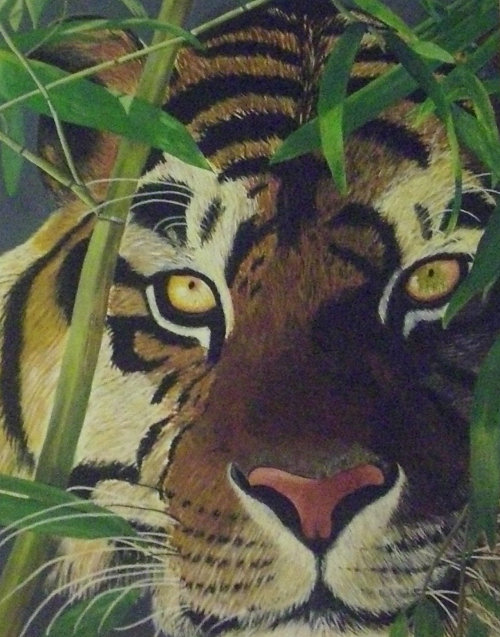 Tiger - 0,80 x 1,00 m - Acryl auf Leinwand